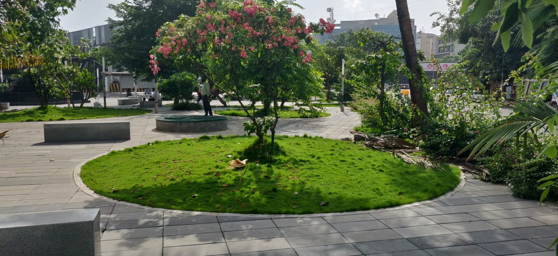 Beautiful garden landscape at BKC Park with lawn and plantation design